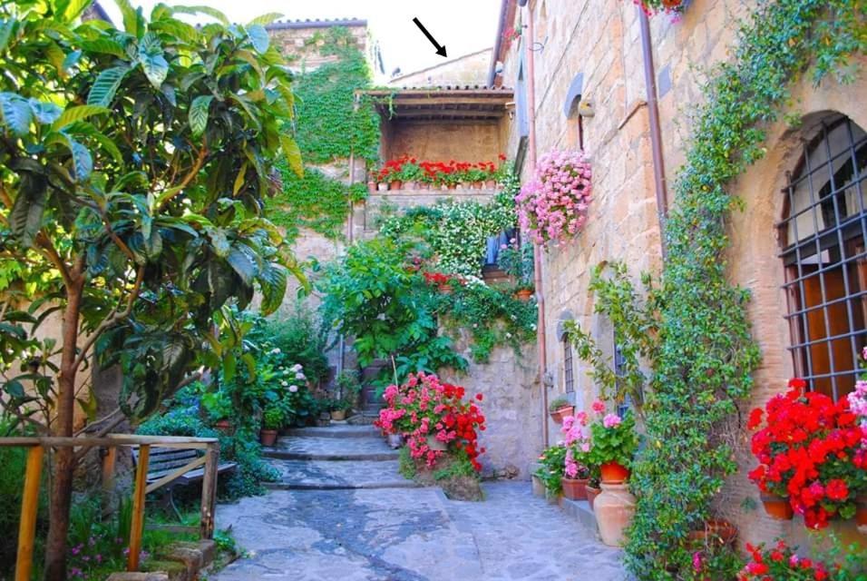 Gerani Rossi Villa Bagnoregio Exterior photo